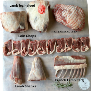 Half Lamb Box